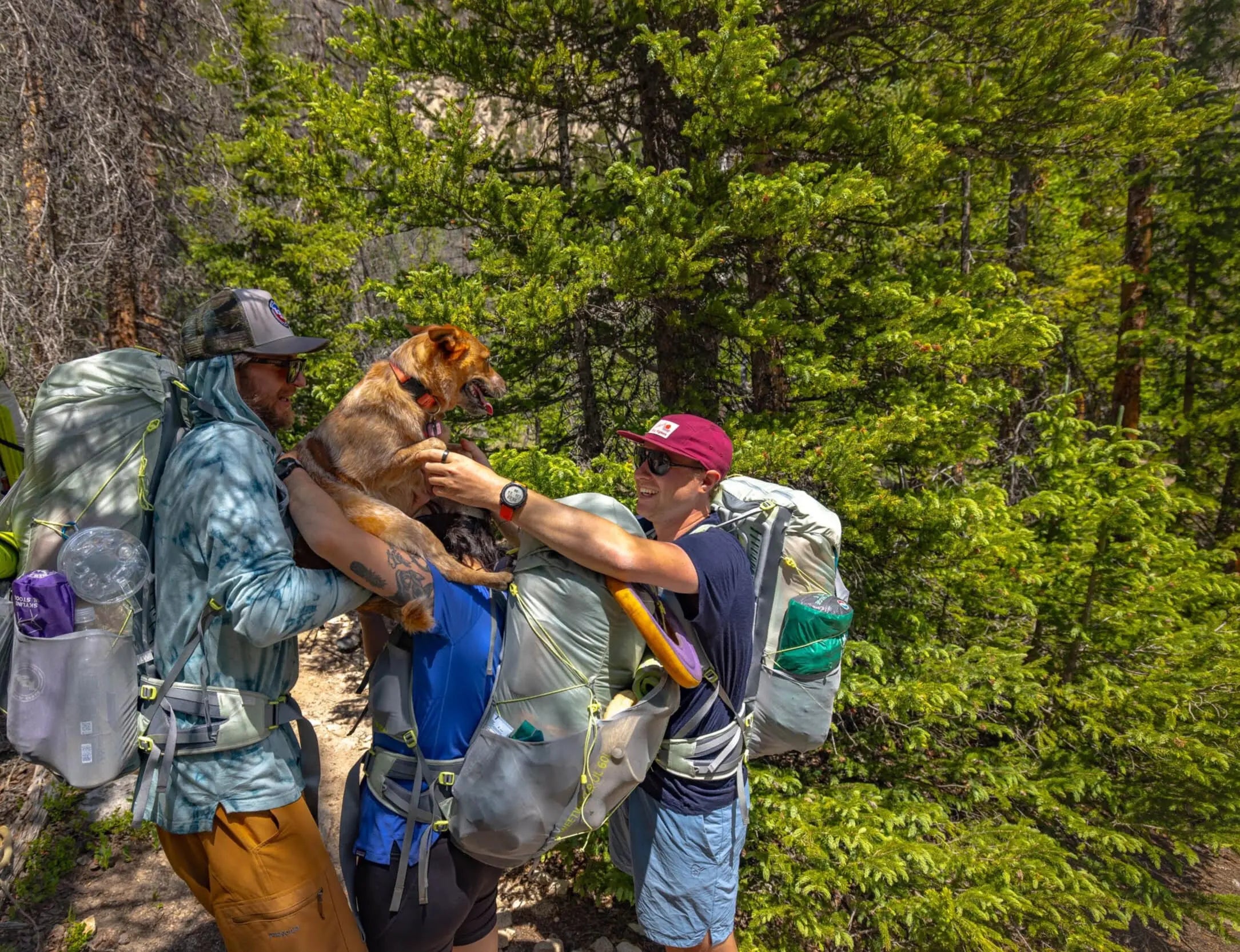 All Backpacks and Luggage | Big Agnes