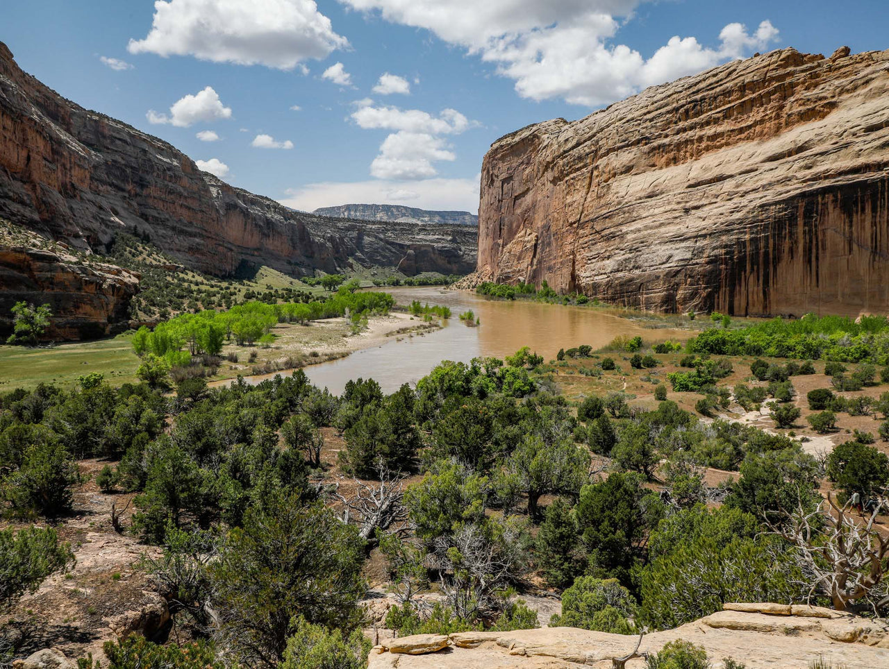 Big agnes yampa online