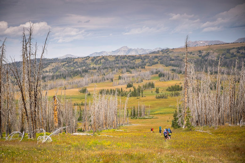 Continental Divide Trail Coalition: Priorities for Summer 2021