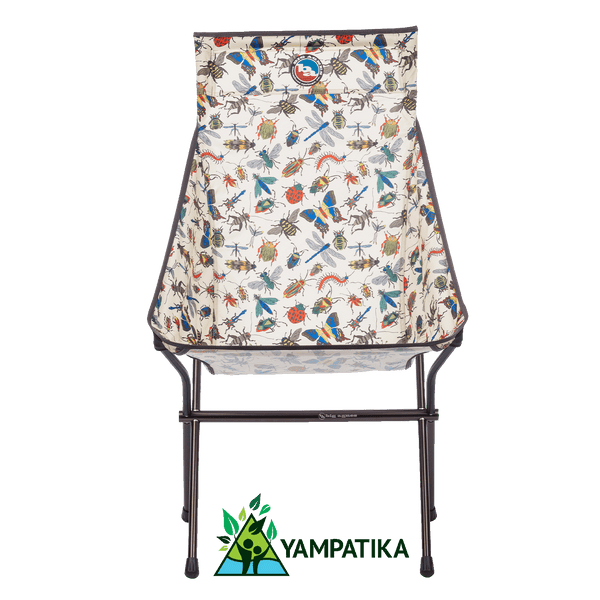 Big Six Camp Chair