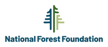 Nff logo fullcolor vert 1