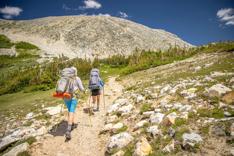 Parkviewbackpack