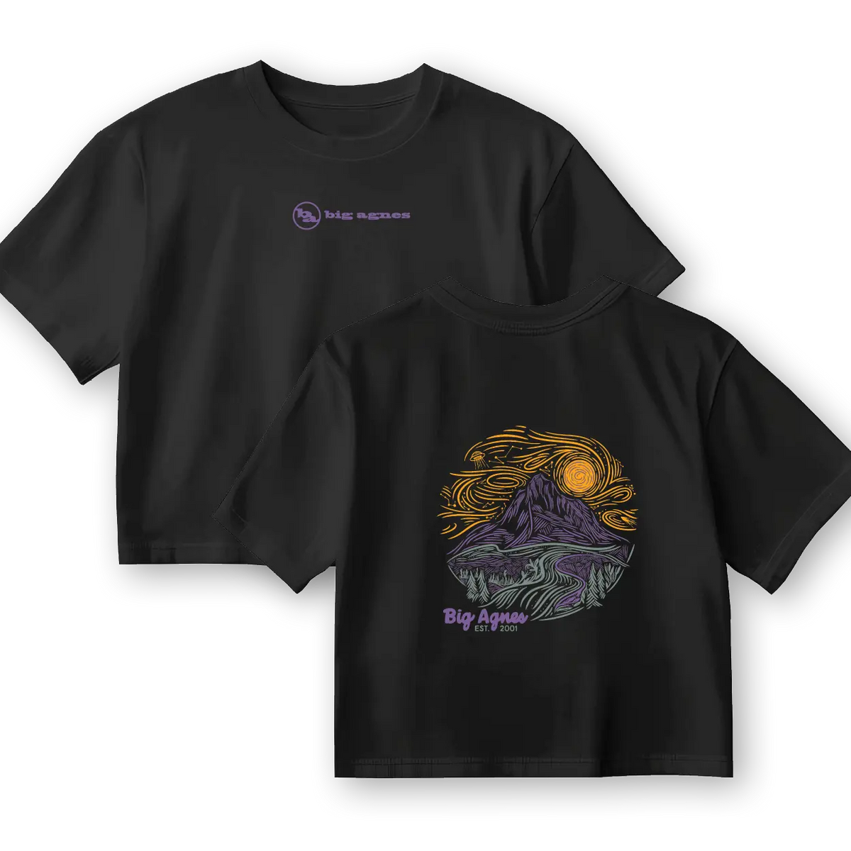 W's Cosmic Sky T-Shirt | Big Agnes