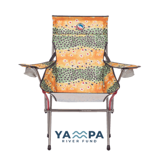 Big Six Armchair Brown Trout YRF Front