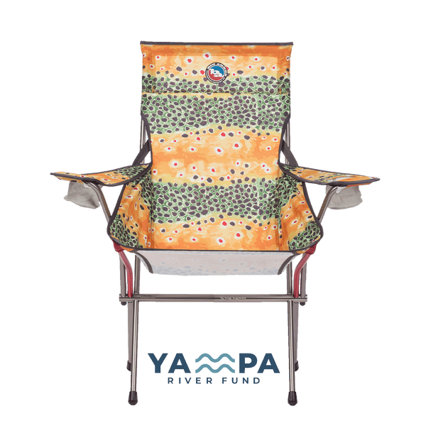 Big Six Armchair Brown Trout YRF Front